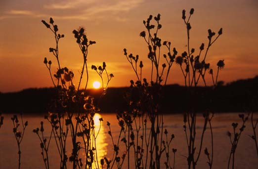 71%20Sunset%20in%20Sweden.jpg